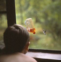 Billy Hilton III watches hummingbirds at kitchen window